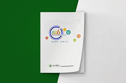 龙凤区画册设计：以场景为媒，打造城市体验的全新入口